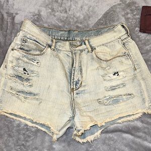 Articles of Society Shorts